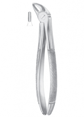 Fig. 38 lower incisors